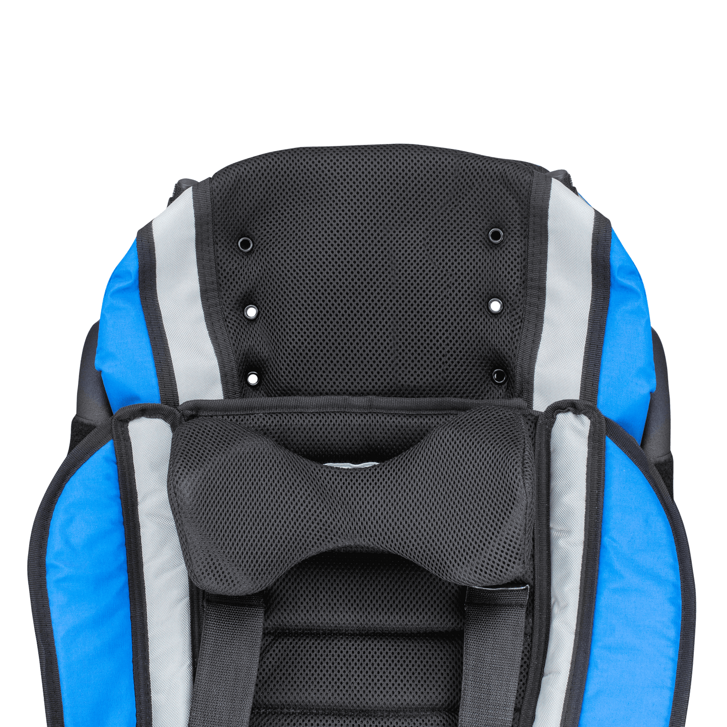 Strive stroller with push handles and footrests