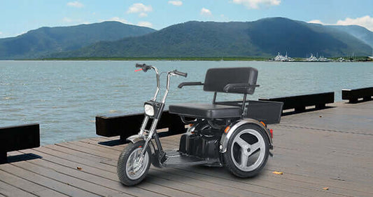 Afikim Afiscooter SE Mobility Scooter